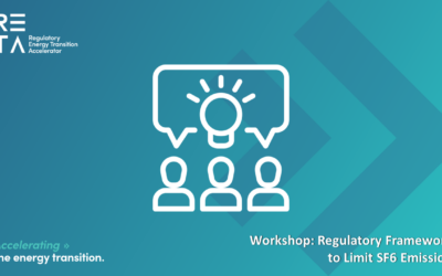 Workshop: Regulatory Framework to limit SF6 emissions